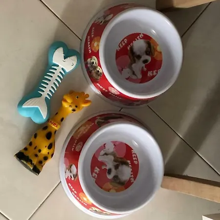 Daire Curato Con Giardino Marina Romea