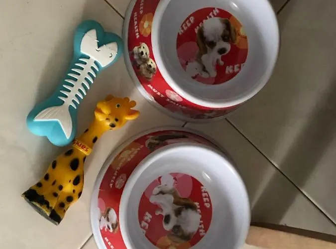 Lägenhet Curato Con Giardino Marina Romea